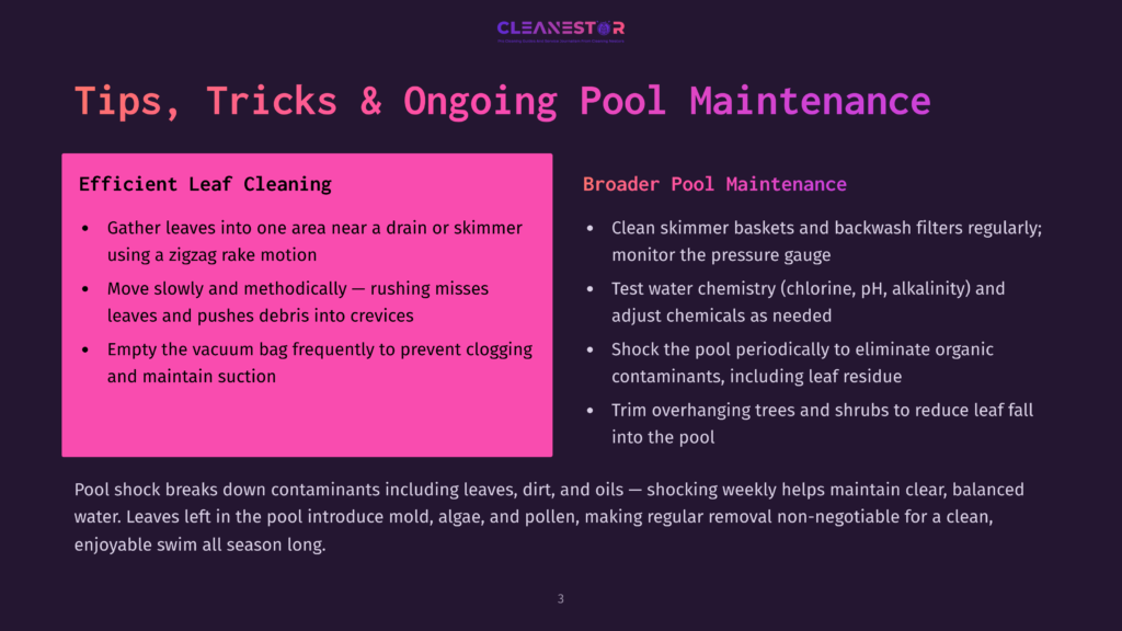 3 Tips Tricks And Ongoing Pool Maintenance Presentation Slide Titled &Quot;Tips, Tricks &Amp; Ongoing Pool Maintenance&Quot; With Sections For &Quot;Efficient Leaf Cleaning&Quot; And &Quot;Broader Pool Maintenance.