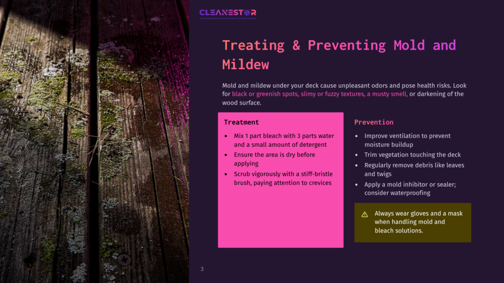 Close-Up Of Weathered Wooden Planks With Moss And Mildew, Text Overlay &Quot;Treating &Amp; Preventing Mold And Mildew&Quot; From Cleanestor.