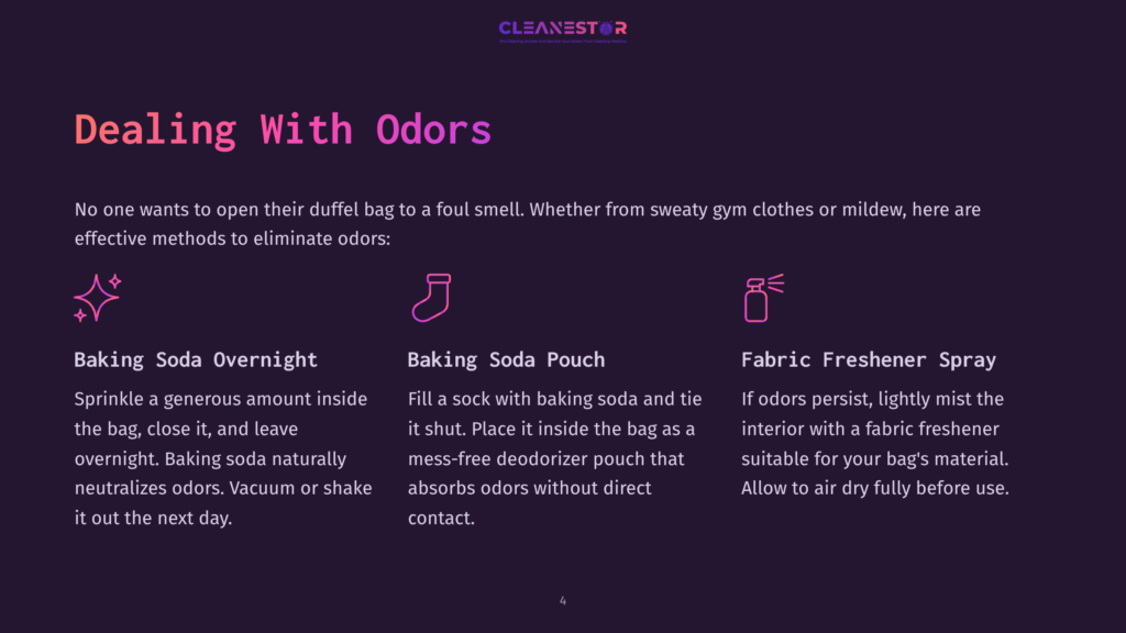 Three Methods To Eliminate Odors From Bags: Baking Soda Overnight, Baking Soda In A Pouch, And Fabric Freshener Spray. Text Reads &Quot;Dealing With Odors&Quot; And Provides Instructions For Each Method.