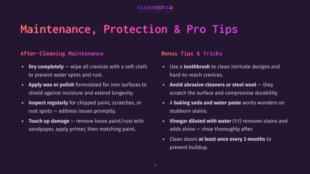 Cleanestor Slide With Text &Quot;Maintenance, Protection &Amp; Pro Tips&Quot; And Bullet Points On Cleaning Advice For Surfaces Like Dry-Cleaning, Waxing, And Using Toothpaste.
