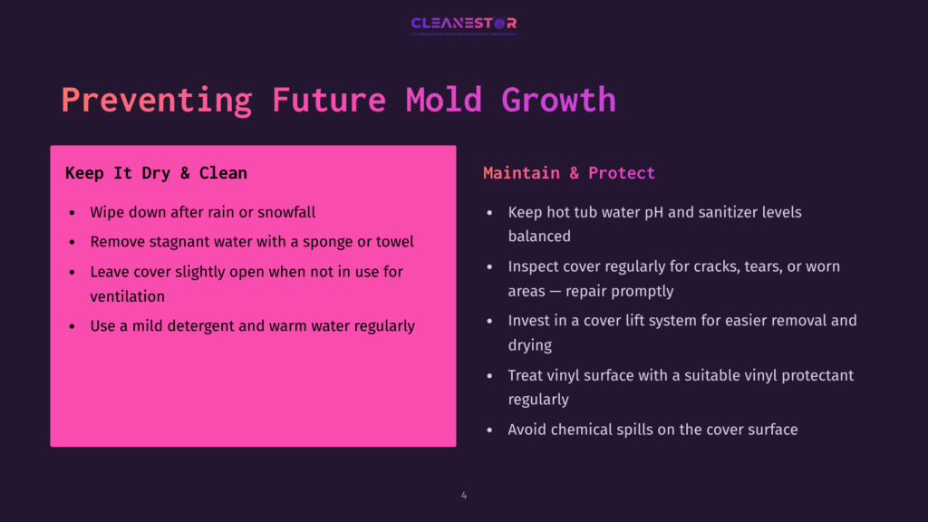 Slide Titled &Quot;Preventing Future Mold Growth&Quot; With Two Columns: &Quot;Keep It Dry &Amp; Clean&Quot; And &Quot;Maintain &Amp; Protect&Quot;. The Left Column Lists Tips Like Wiping Down After Rain And Using Mild Detergent. The Right Column Advises On Hot Tub Water Ph And Inspecting The Cover.
