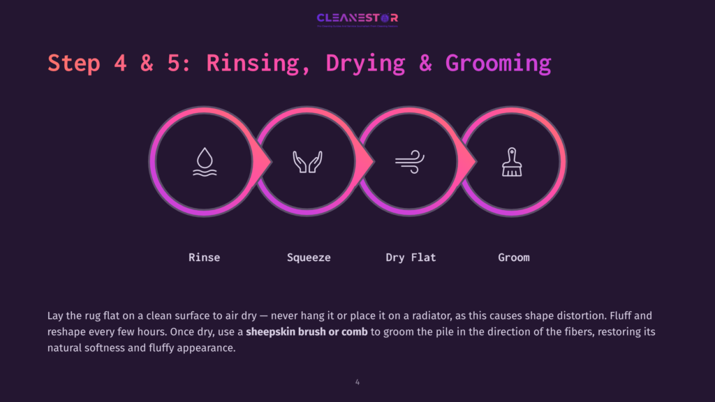 Steps 4 &Amp; 5 Of Rug Cleaning: Rinse, Squeeze, Dry Flat, And Groom. Icons Depict Water, Wringing Hands, Wind, And A Brush. Text Explains How To Air Dry And Groom A Rug.