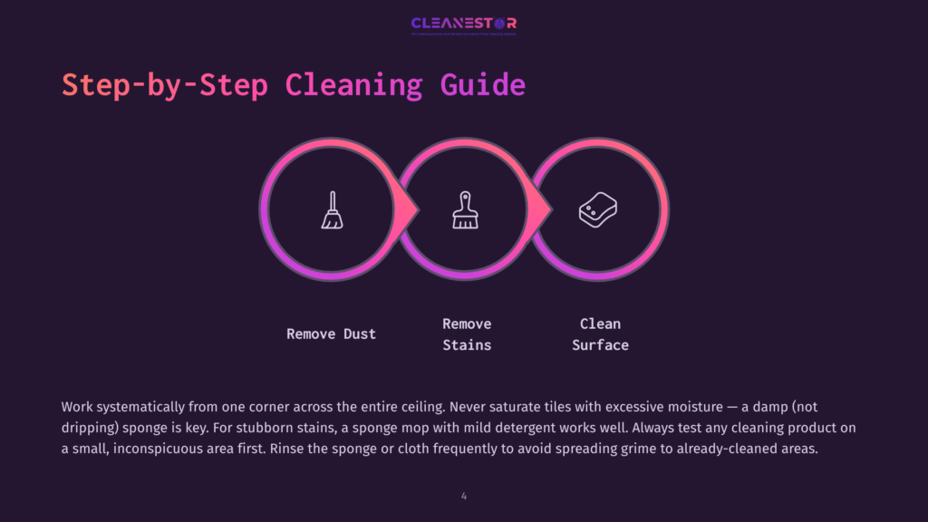 4 Step By Step Cleaning Guide 55 Step-By-Step Cleaning Guide Infographic With Three Circular Icons Representing Dusting, Stain Removal, And Surface Cleaning, With Accompanying Text And Detailed Instructions.