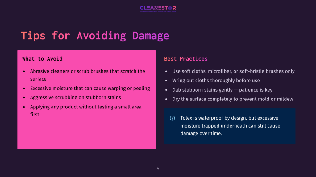 Cleanestor Logo Above Tips For Avoiding Damage, With &Quot;What To Avoid&Quot; And &Quot;Best Practices&Quot; Sections Detailing Cleaning Methods And Moisture Warnings.