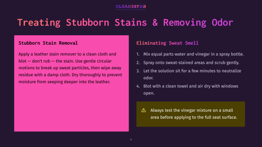 A Presentation Slide Titled &Quot;Treating Stubborn Stains &Amp; Removing Odor&Quot; With Instructions For Leather Stain And Odor Removal Using A Vinegar Mixture.