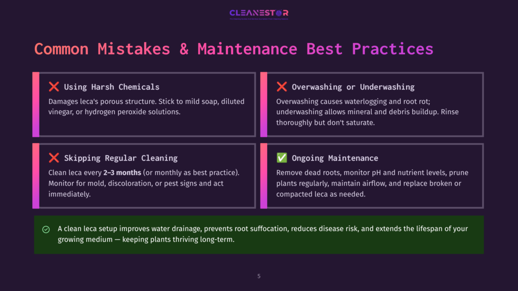 5 Common Mistakes And Maintenance Best Practices Infographic Titled &Quot;Common Mistakes &Amp; Maintenance Best Practices&Quot; For Cleanestor, Detailing Leca Care With Tips On Avoiding Harsh Chemicals And Overwatering, And Promoting Regular Cleaning And Ongoing Maintenance For Healthy Plants.