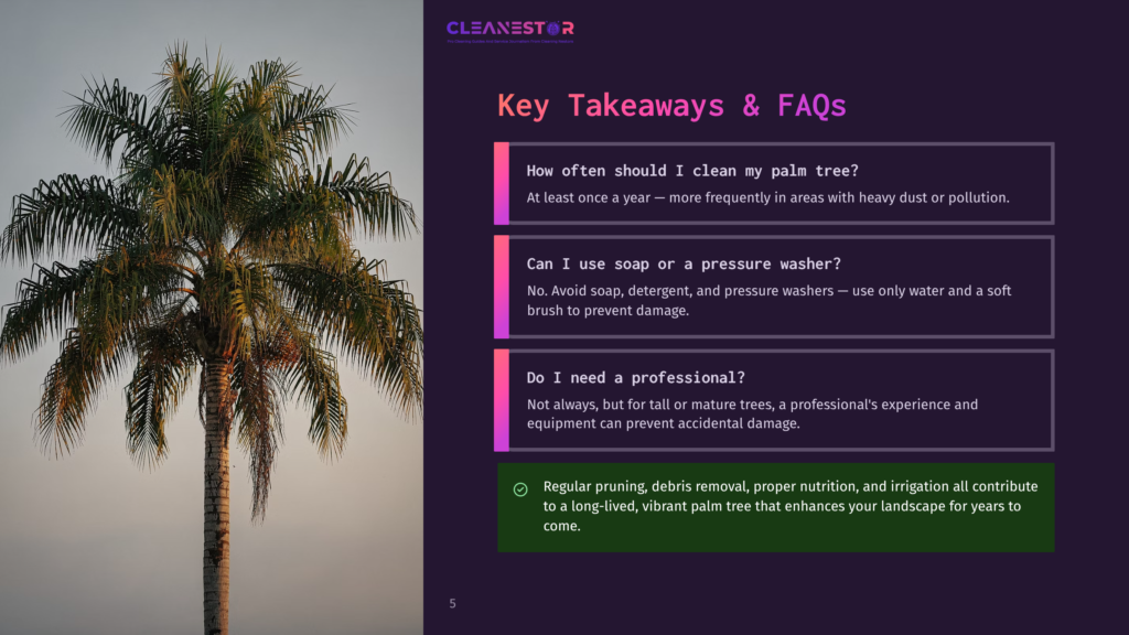 A Tall, Vibrant Palm Tree With Lush Green Fronds Stands Against A Bright Sky. The Image Is Part Of A Presentation With Text About &Quot;Key Takeaways &Amp; Faqs&Quot; For Palm Tree Care.