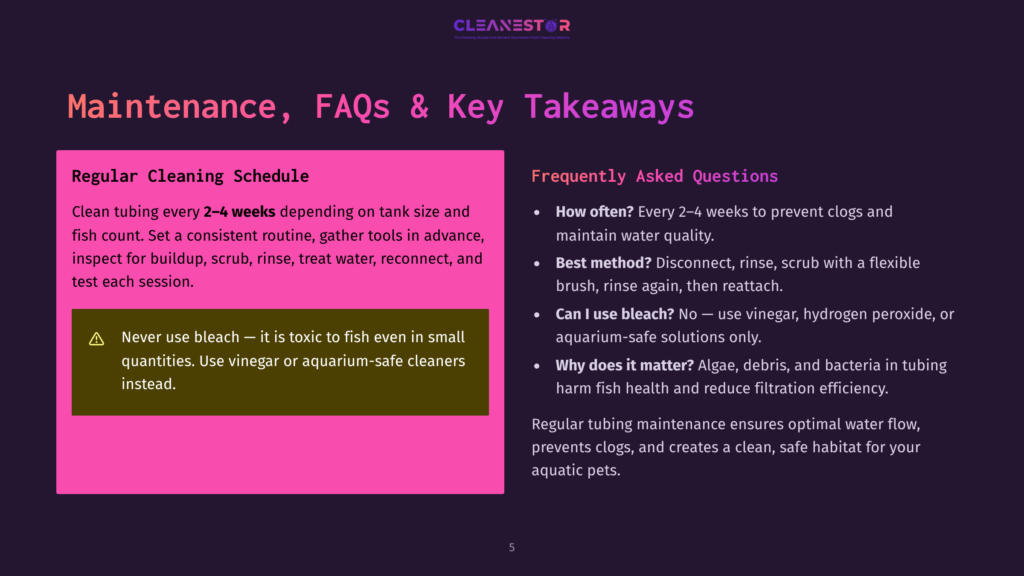 Cleanestor Logo At The Top Of A Slide With &Quot;Maintenance, Faqs &Amp; Key Takeaways&Quot; Title. Left Side Details Regular Cleaning Schedules For Aquariums, Right Side Lists Frequently Asked Questions About Aquarium Cleaning.