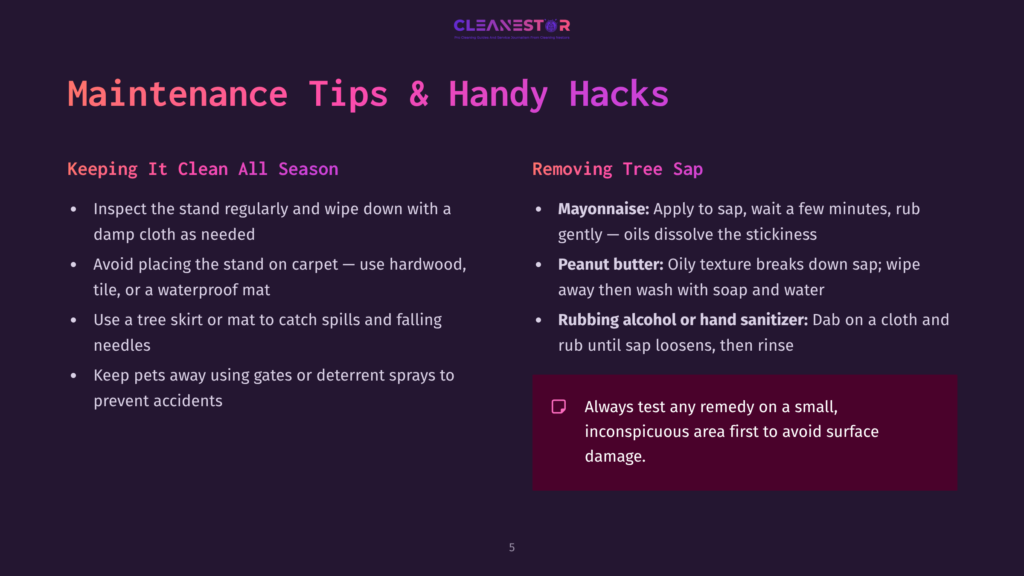 5 Maintenance Tips And Handy Hacks Cleanestor Logo Above Slide Titled &Quot;Maintenance Tips &Amp; Handy Hacks&Quot; With Sections On &Quot;Keeping It Clean All Season&Quot; And &Quot;Removing Tree Sap.