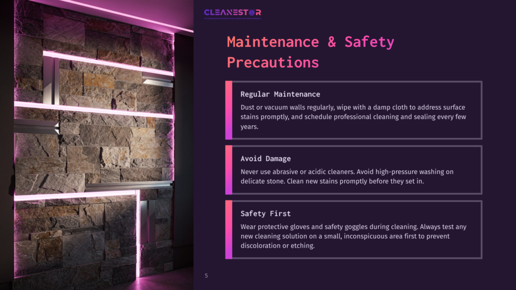 Cleanestor Logo And &Quot;Maintenance &Amp; Safety Precautions&Quot; Text On A Dark Background With A Modern Stone Wall Featuring Pink Led Lighting.