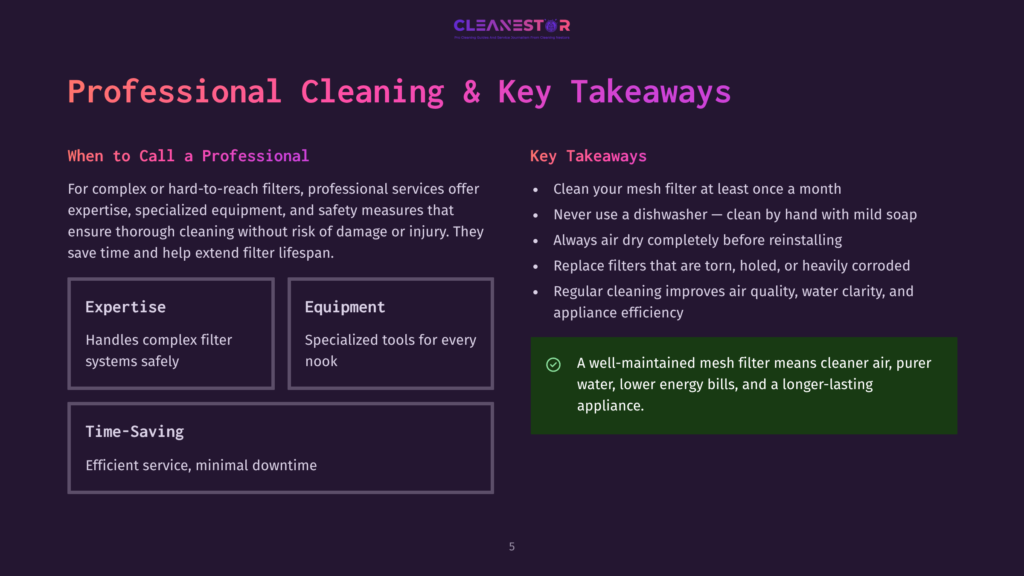 Presentation Slide Titled &Quot;Professional Cleaning &Amp; Key Takeaways&Quot; From Cleanestor. Key Takeaways Include Cleaning Mesh Filters, Not Using A Dishwasher, And Regular Cleaning For Better Air Quality.
