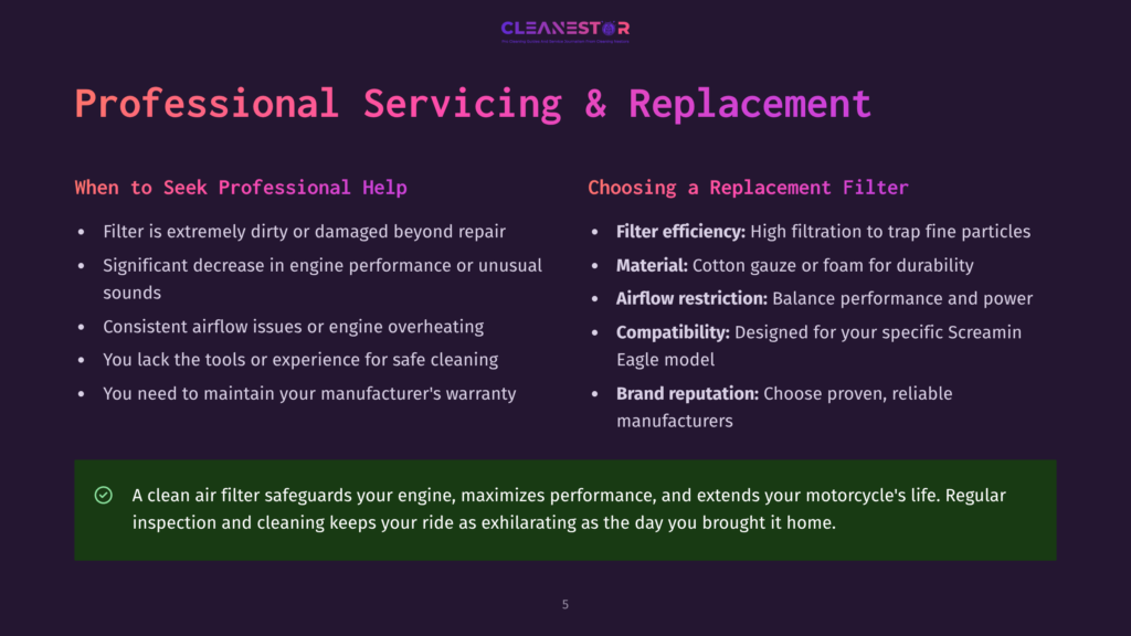 5 Professional Servicing And Replacement Infographic Titled &Quot;Professional Servicing &Amp; Replacement&Quot; By Cleanestor, Comparing Filter Issues And Replacement Benefits, With A Green Checkmark Indicating A Clean Air Filter'S Benefits For Motorcycle Engines.