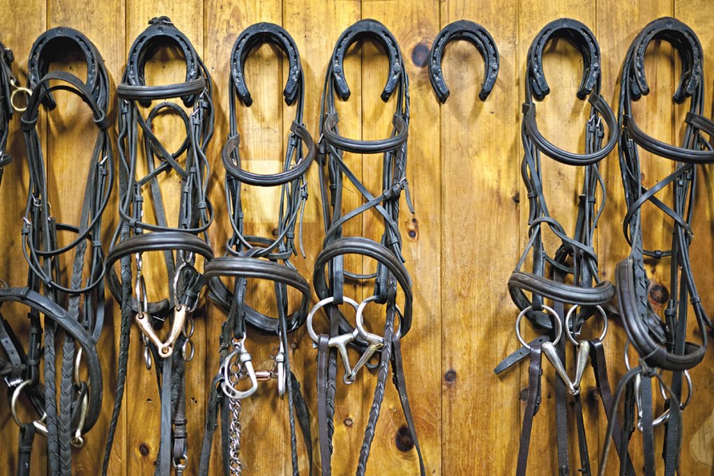 How To Clean A Bridle How To Clean A Bridle