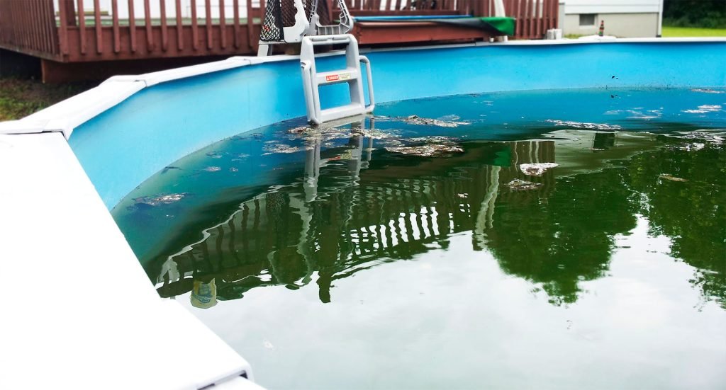 How To Clean A Pool That Has Been Sitting