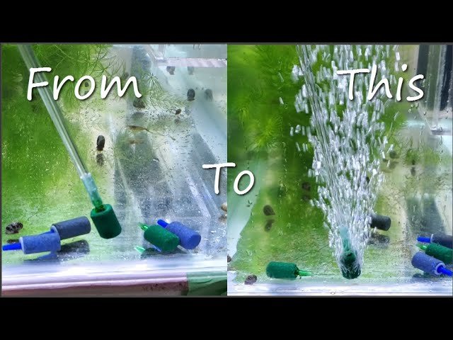 How To Clean Air Stones How To Clean Air Stones
