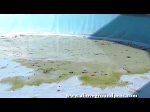 How To Clean An Empty Above Ground Pool With Algae How To Clean An Empty Above-Ground Pool With Algae