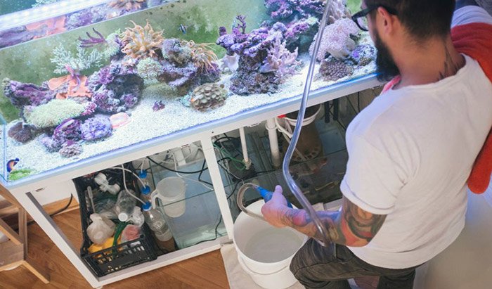 How To Clean Aquarium Tubing How To Clean Aquarium Tubing