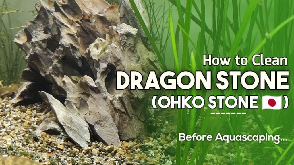 How To Clean Dragon Stone For Aquarium How To Clean Dragon Stone For Aquarium