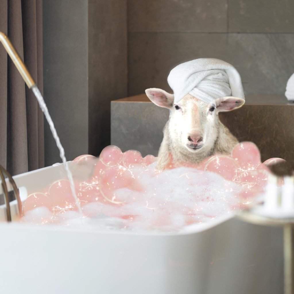 How To Clean Haflinger Slippers How To Clean Haflinger Slippers