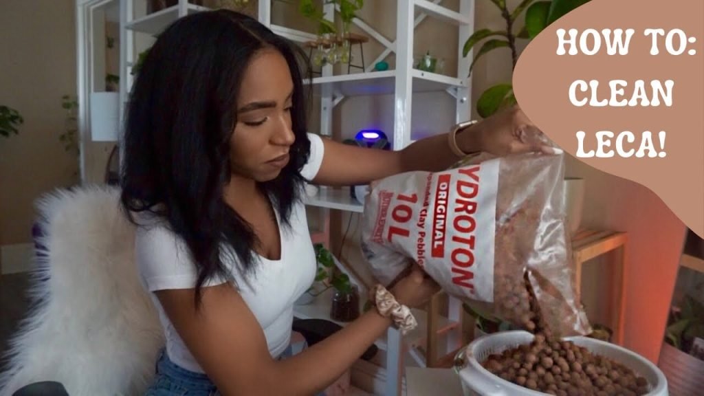 How To Clean Leca
