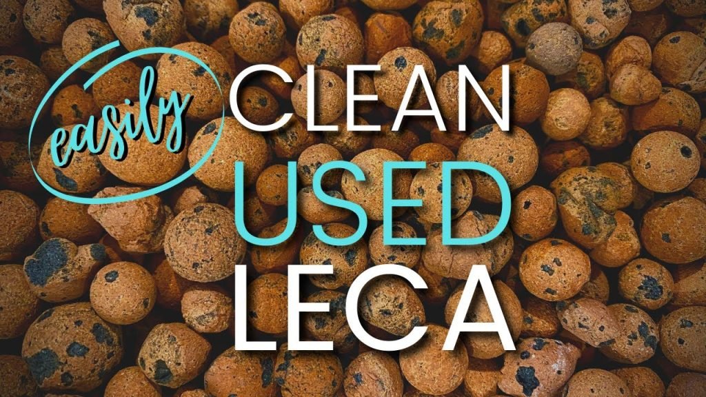 How To Clean Leca Balls How To Clean Leca Balls