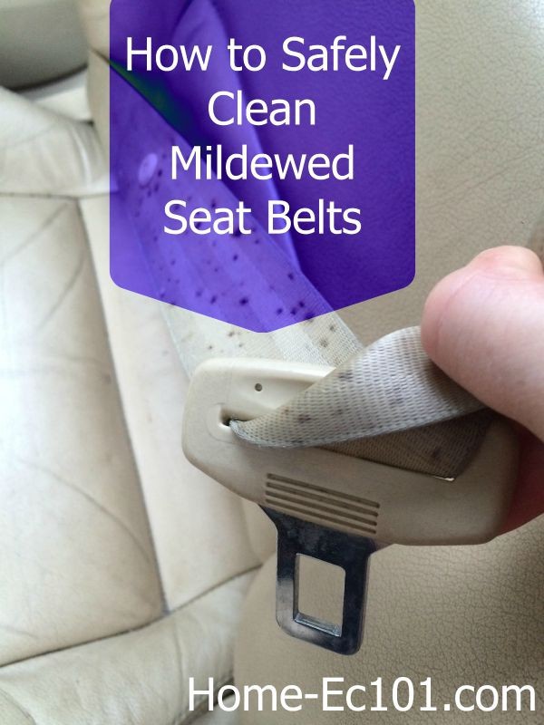 How To Clean Moldy Seat Belts