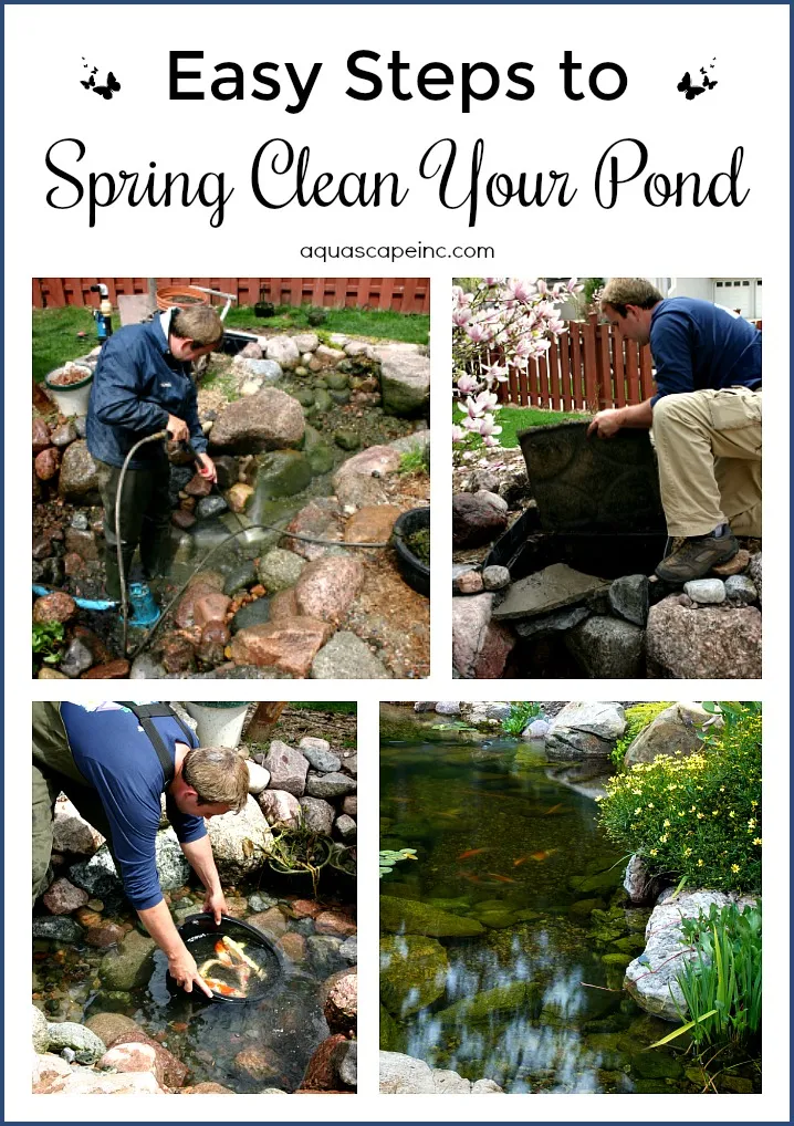 How To Clean Pond Rocks How To Clean Pond Rocks