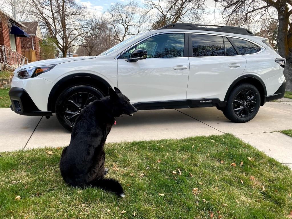 How To Clean Subaru Startex How To Clean Subaru Startex