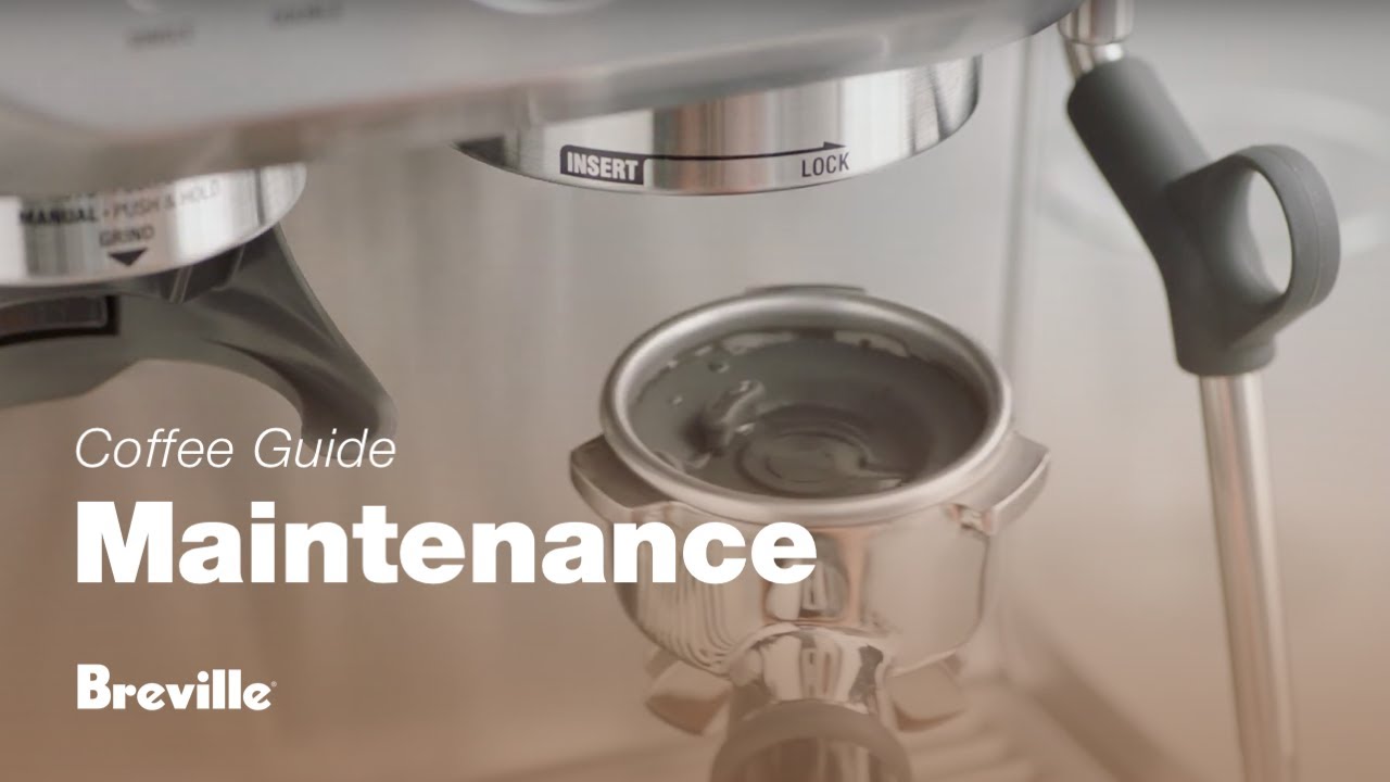 How To Run A Clean Cycle On The Breville Espresso Machine Cleanestor