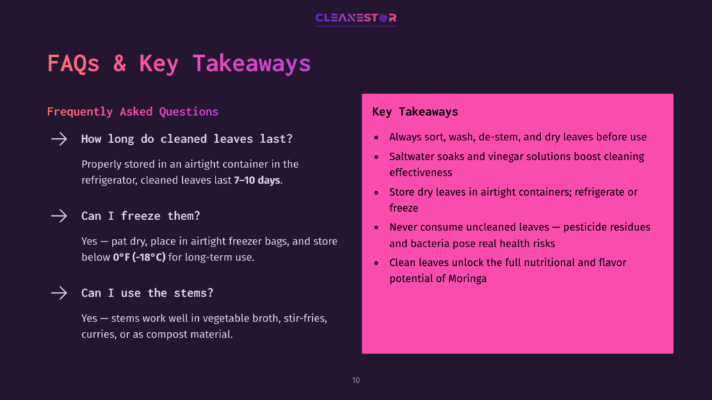 Presentation Slide With &Quot;Cleanestor&Quot; Logo At The Top And &Quot;Faqs &Amp; Key Takeaways&Quot; Title. Left Side Lists Questions About Cleaned Leaves, Right Side Lists Key Takeaways For Cleaning And Storing Leaves.