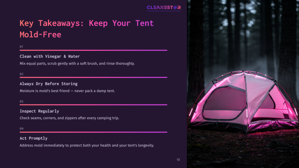 A Pink Tent Glows With Internal Light In A Dark, Misty Forest At Night. The Image Is Part Of A Presentation Titled &Quot;Key Takeaways: Keep Your Tent Mold-Free,&Quot; With Text Detailing Cleaning Tips.