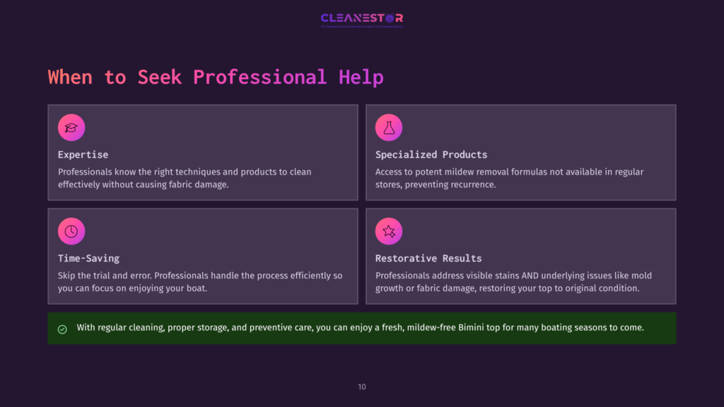 Infographic Titled &Quot;When To Seek Professional Help&Quot; Listing Benefits Like Expertise, Specialized Products, Time-Saving, And Restorative Results, With Icons And Text In English.