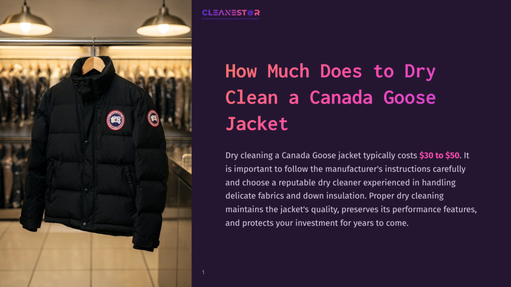 A Black Canada Goose Jacket Hangs On A Hanger In A Brightly Lit Closet, With The Cleanestor Logo Visible In The Upper Right Corner.