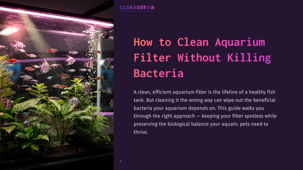 A Vibrant Freshwater Aquarium Filled With Lush Green Plants And A School Of Colorful Angelfish And Neon Tetras, Illuminated By A Bright Pink Light. The Image Is Overlaid With The Title &Quot;Cleanestor&Quot; And The Heading &Quot;How To Clean Aquarium Filter Without Killing Bacteria.