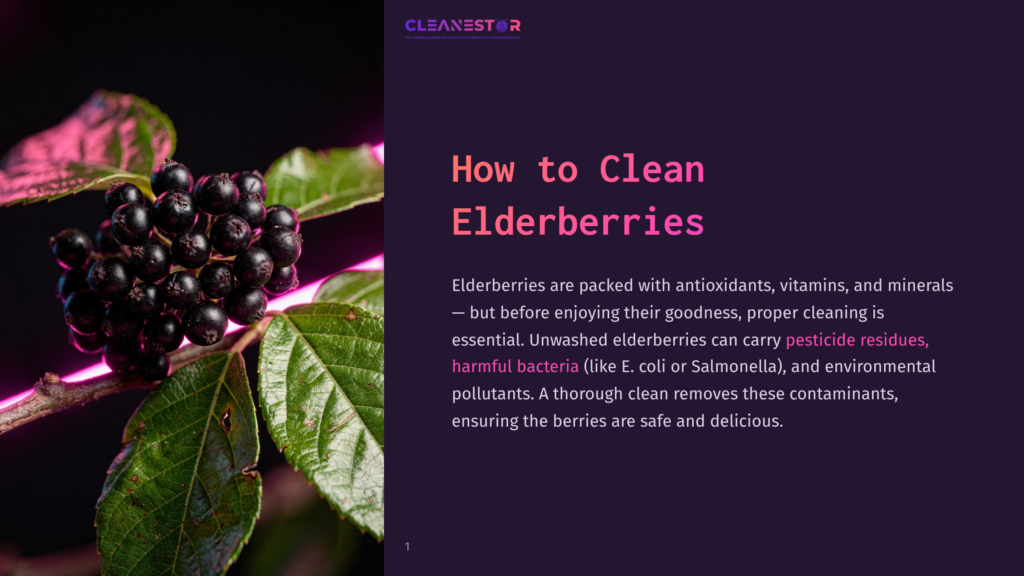 A Close-Up Of A Dark Purple Elderberry Cluster With Glossy, Deep Black Berries On A Green Leaf With Pink Edges, Against A Dark Purple Background, Illustrating How To Clean Elderberries.