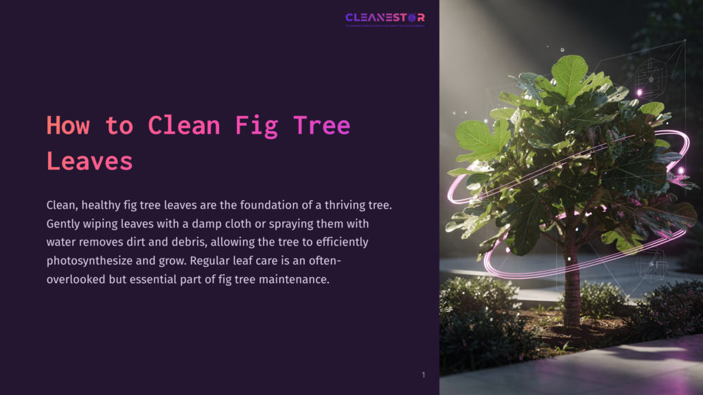1 How To Clean Fig Tree Leaves An Infographic On Cleaning Fig Tree Leaves Shows A Small Fig Tree With Vibrant Green Leaves And A Modern Design Element With Pink Neon Lines Around It.