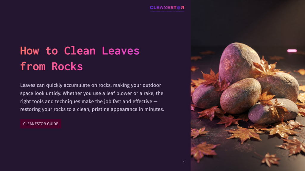 Close-Up Of Wet, Smooth Rocks With Fallen Autumn Leaves Scattered Around Them, Suggesting Outdoor Cleaning. The Scene Is Dark And Moody.