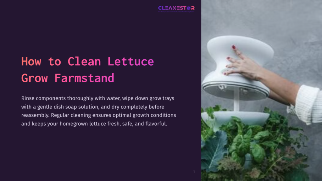 Hands Clean A White Hydroponic Lettuce Grow Farmstand With Fresh Leafy Greens, Following Instructions To Wash Components With Soap And Water.
