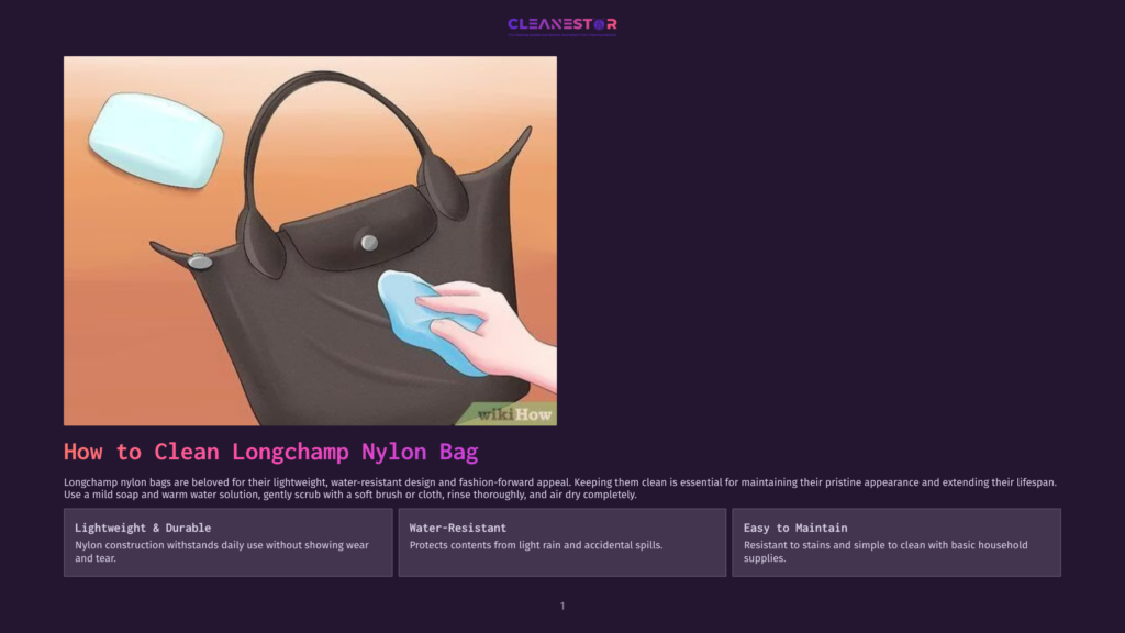 Illustration Shows A Hand Cleaning A Brown Longchamp Nylon Bag With A White Cloth And Mild Soap Solution, Highlighting How To Clean A Longchamp Nylon Bag.