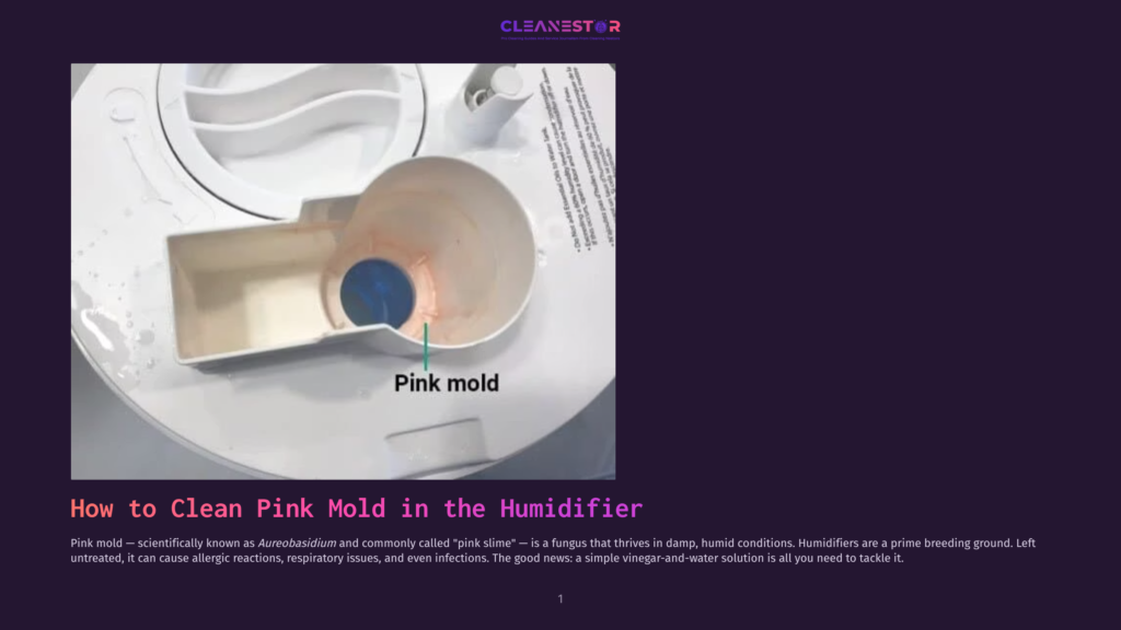 Close-Up Of A Humidifier'S Water Tank Showing Pink Mold, Labeled &Quot;Pink Mold,&Quot; Highlighting The Need To Clean Humidifiers.