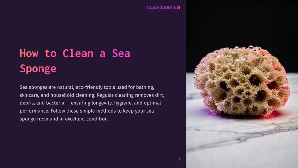 1 How To Clean A Sea Sponge Close-Up Of A Natural Sea Sponge With Water Droplets, Resting On A Marble Surface. The Sponge Has A Complex, Porous Texture And Is Illuminated By Soft Lighting.