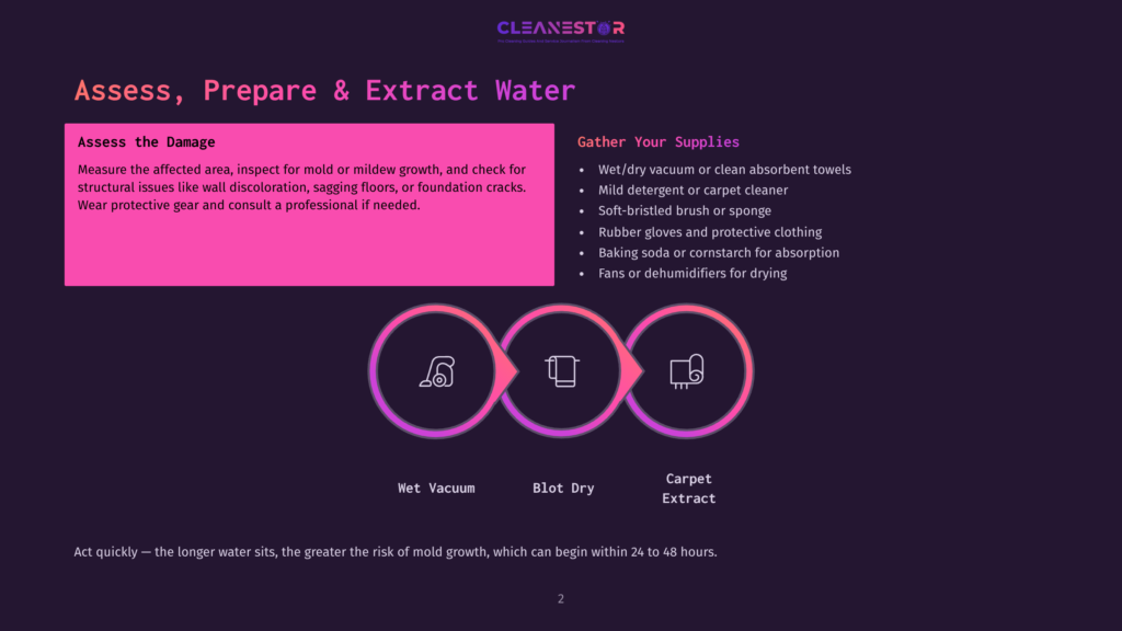 Illustration Showing The Three Steps Of Water Damage Extraction: Wet Vacuuming, Blot Drying, And Carpet Drying, With Text Detailing Damage Assessment And Necessary Supplies.