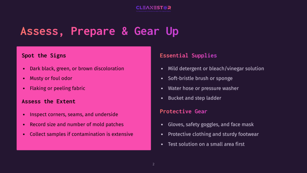 Presentation Slide Titled &Quot;Assess, Prepare &Amp; Gear Up&Quot; With Sections On &Quot;Spot The Signs&Quot; And &Quot;Essential Supplies&Quot; For Mold Remediation.
