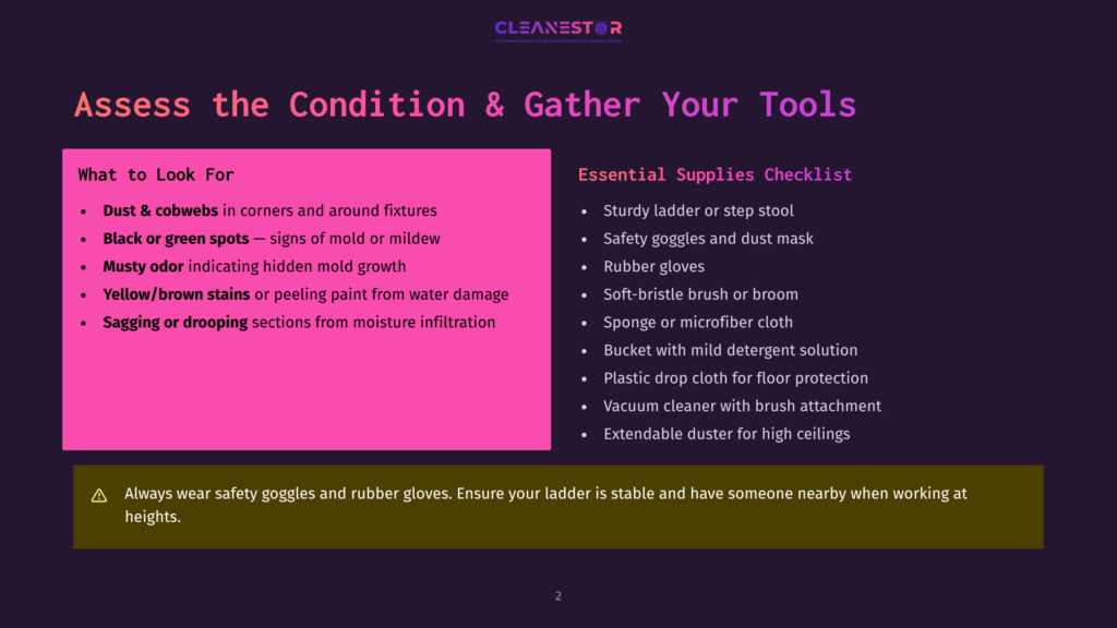 2 Assess The Condition And Gather Your Tools A Presentation Slide Titled &Quot;Assess The Condition &Amp; Gather Your Tools&Quot; With Two Main Sections: &Quot;What To Look For&Quot; And &Quot;Essential Supplies Checklist,&Quot; Detailing Cleaning Preparation.