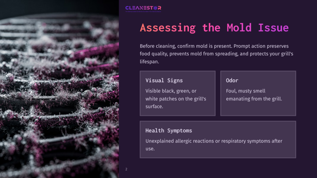 Close-Up Of A Grill Grate Covered In Fuzzy, Pink And White Mold, With Text Overlay &Quot;Cleanestor&Quot; And &Quot;Assessing The Mold Issue.