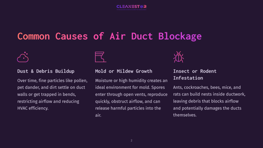 Infographic Titled &Quot;Common Causes Of Air Duct Blockage&Quot; Showing Icons For Dust &Amp; Debris Buildup, Mold Or Mildew Growth, And Insect Or Rodent Infestation, With Descriptive Text For Each.