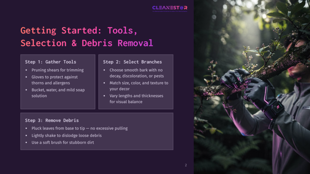 2 Getting Started Tools Selection And Debris Removal Cleanestor Logo And Text &Quot;Getting Started: Tools, Selection &Amp; Debris Removal&Quot; On A Dark Background. A Person In Dark Gloves Is Tending To A Lush Green Plant.