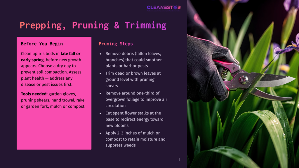 Gardener'S Gloved Hands Prune Iris Plants With Sharp Shears, Focusing On Removing Dead Foliage And Spent Flower Stalks To Promote Healthy Growth And Vibrant Blooms. The Text &Quot;Prepping, Pruning &Amp; Trimming&Quot; Is Visible.