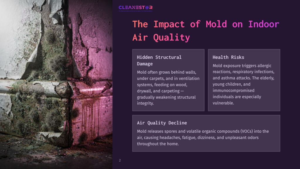 Mold Growing On A Textured, Peeling Wall With A Pinkish Hue. The Text Overlay Reads &Quot;Cleanestor&Quot; And &Quot;The Impact Of Mold On Indoor Air Quality.