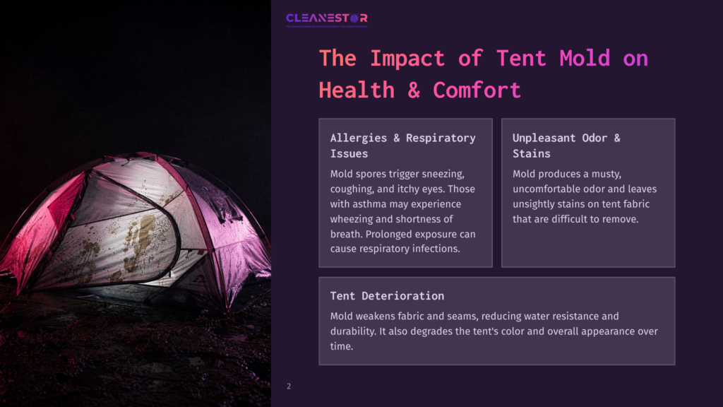 A Damp, Purple Tent Sits On Wet Ground At Night, Illuminated By A Pinkish Light. The Tent Interior Shows Signs Of Mold And Mildew, With Visible Stains And Dirt.